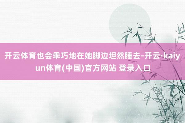 开云体育也会乖巧地在她脚边坦然睡去-开云·kaiyun体育(中国)官方网站 登录入口