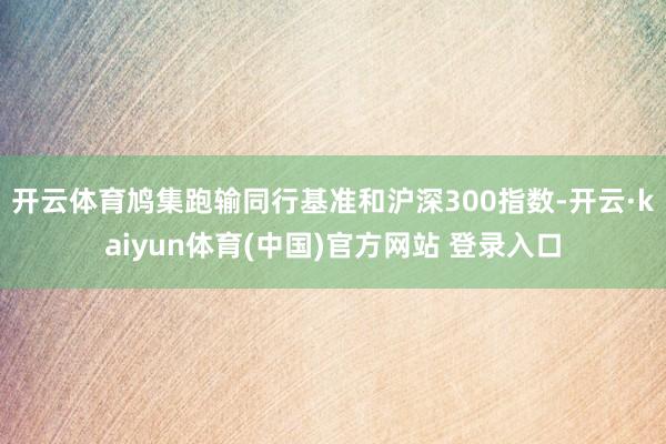开云体育鸠集跑输同行基准和沪深300指数-开云·kaiyun体育(中国)官方网站 登录入口